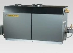 Buy 🛒 Laars Mighty Therm2® 500000 BTU Volume Water Heater 2 Stage Copper 🥰